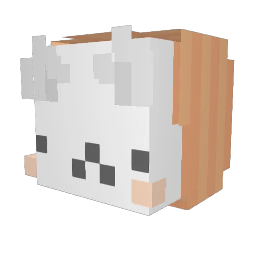 RikaSensei Minecraft avatar head, 3D render