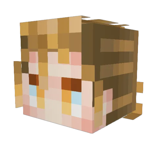 Rikan22 Minecraft avatar head, 3D render