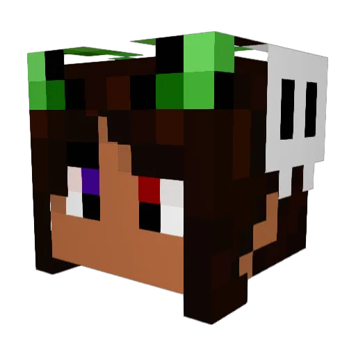 Rikaroo48 Minecraft avatar head, 3D render