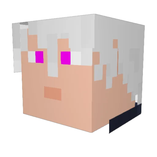 Riker_Watts Minecraft avatar head, 3D render