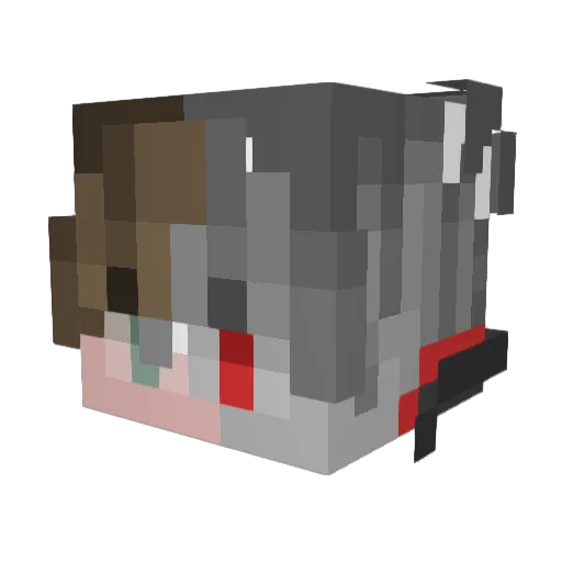 Rikersta Minecraft avatar head, 3D render