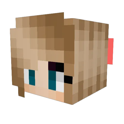 Rikke0 Minecraft avatar head, 3D render