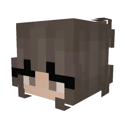 Rikkefjeld Minecraft avatar head, 3D render