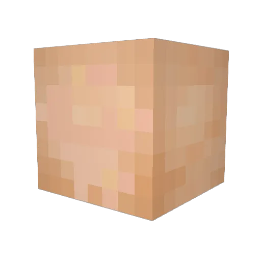 Rikkert402 Minecraft avatar head, 3D render