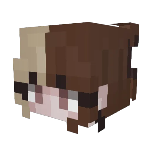 Rikkietje Minecraft avatar head, 3D render