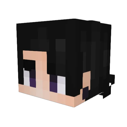 Rikko742 Minecraft avatar head, 3D render