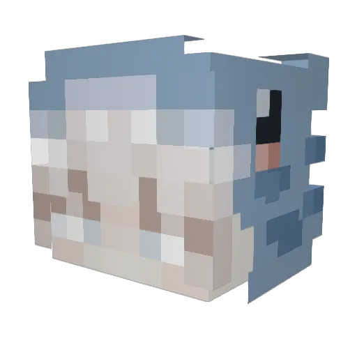 RikkoIsHungryCZ Minecraft avatar head, 3D render