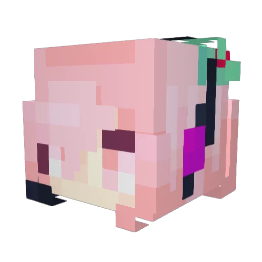 Rikky_Senpai Minecraft avatar head, 3D render