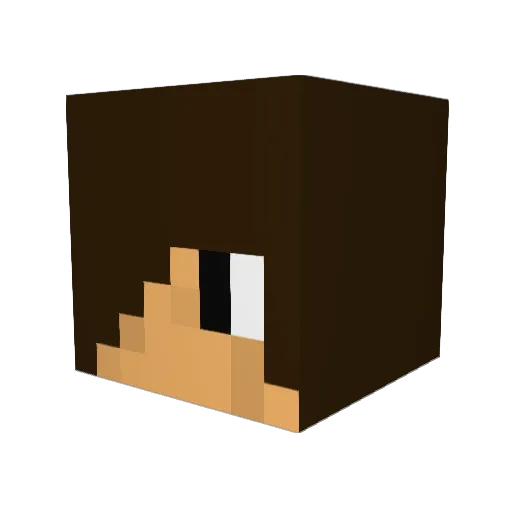 Rikkypvppro Minecraft avatar head, 3D render