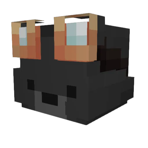 Riko787 Minecraft avatar head, 3D render