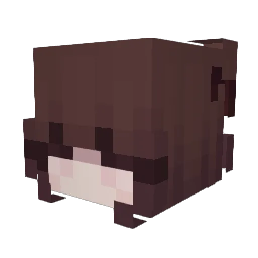 RikoJonas Minecraft avatar head, 3D render