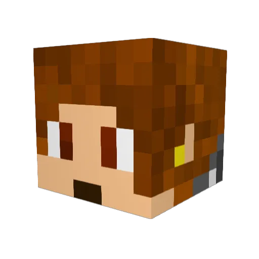 Rikoraa Minecraft avatar head, 3D render