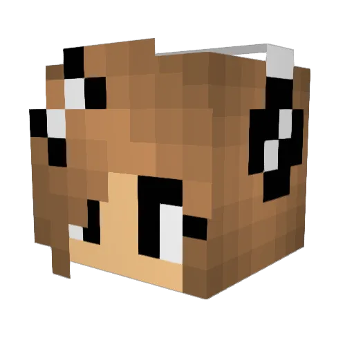 RiksuRaksu Minecraft avatar head, 3D render