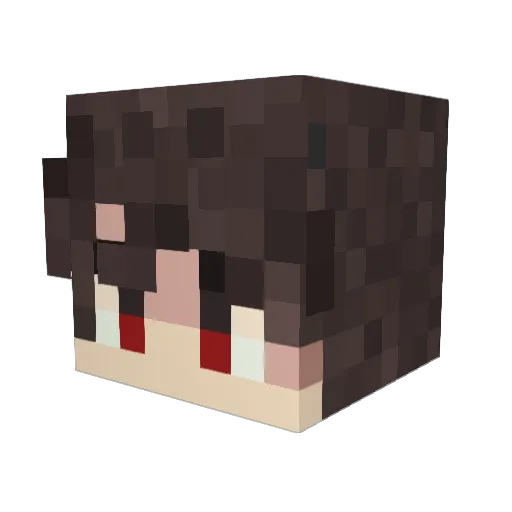 Rikudo92 Minecraft avatar head, 3D render