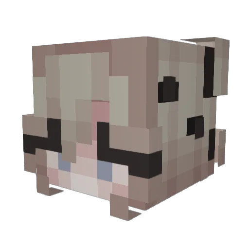 Rikuhmc Minecraft avatar head, 3D render