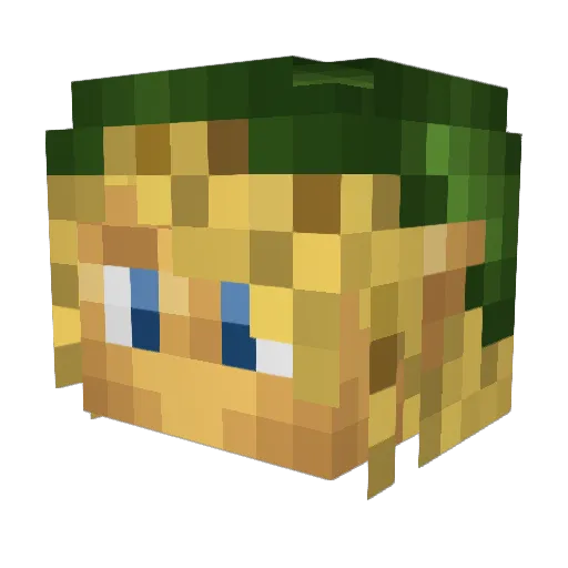 Rikunetix Minecraft avatar head, 3D render