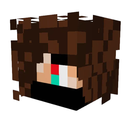 Rikutokishi Minecraft avatar head, 3D render