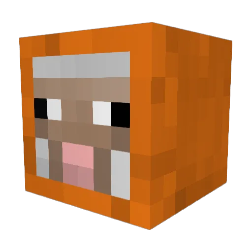RikvdZ Minecraft avatar head, 3D render