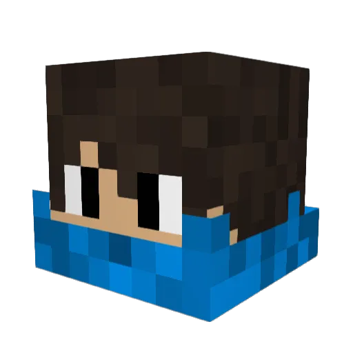 Rikybot Minecraft avatar head, 3D render