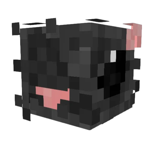Rilan21 Minecraft avatar head, 3D render