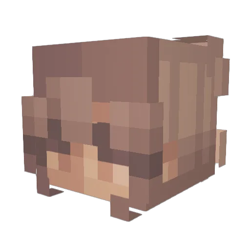 Riles145 Minecraft avatar head, 3D render