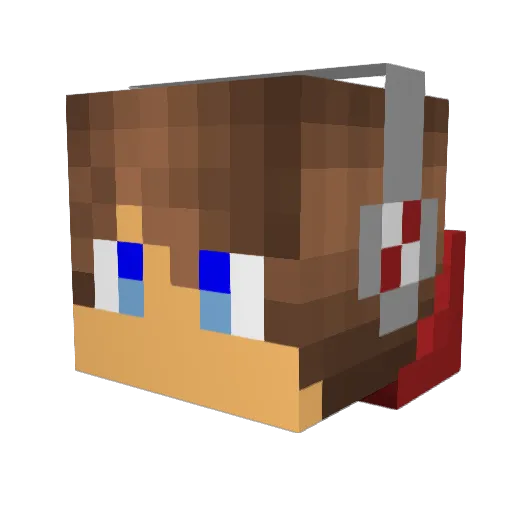 Riles310 Minecraft avatar head, 3D render