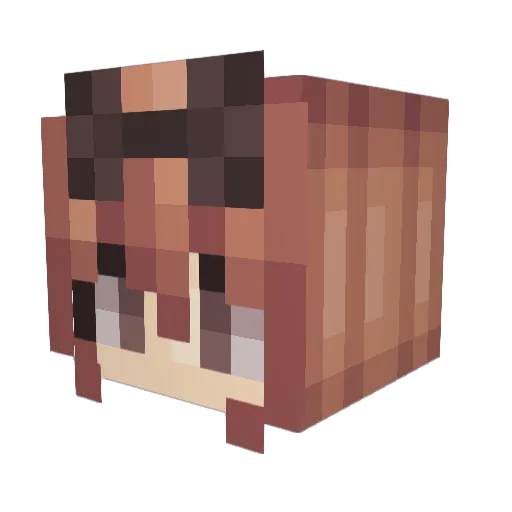 Riley1011 Minecraft avatar head, 3D render