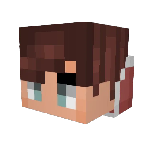 Riley6520 Minecraft avatar head, 3D render