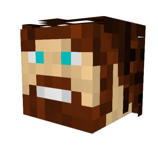 Riley676 Minecraft avatar head, 3D render