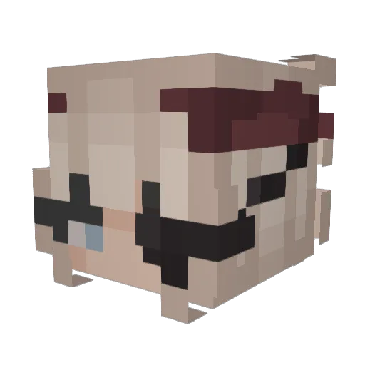 Riley6969 Minecraft avatar head, 3D render