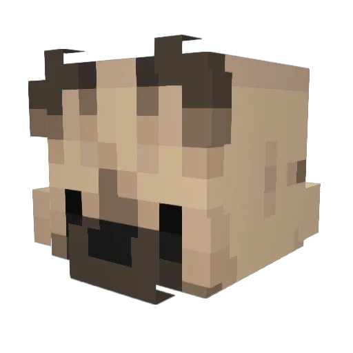 RileyAJP Minecraft avatar head, 3D render