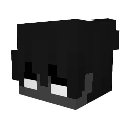 RileyBigBalls Minecraft avatar head, 3D render