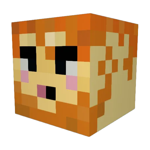 RileyC03 Minecraft avatar head, 3D render