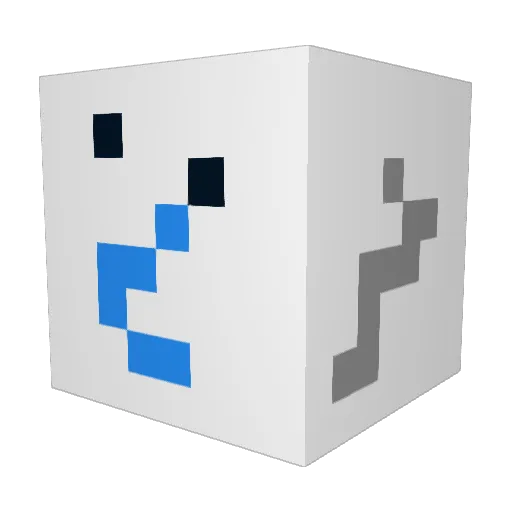 RileyChard Minecraft avatar head, 3D render
