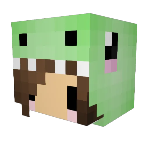 RileyChiz Minecraft avatar head, 3D render