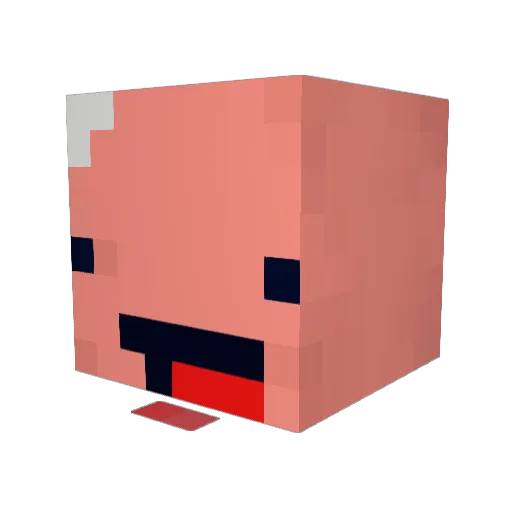 RileyEatCheezit Minecraft avatar head, 3D render