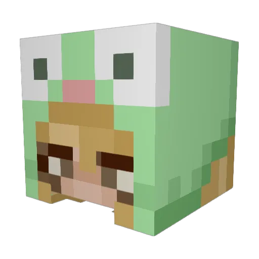 RileyJD Minecraft avatar head, 3D render