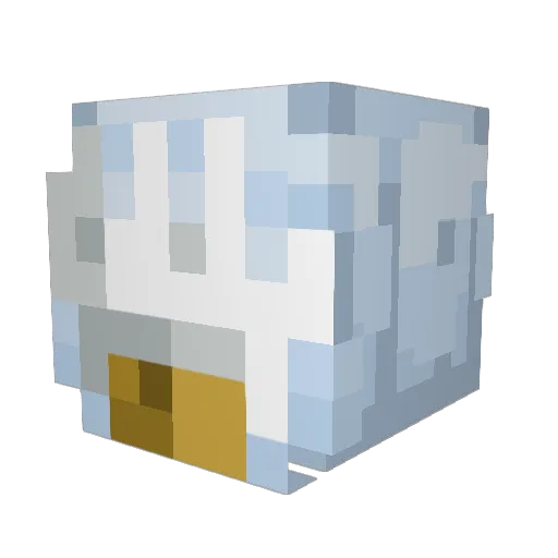 RileyOK Minecraft avatar head, 3D render
