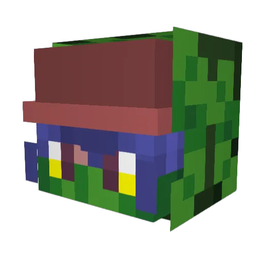 RileyRWF Minecraft avatar head, 3D render