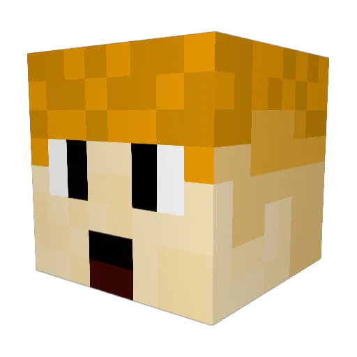 RileyRiley2k8 Minecraft avatar head, 3D render