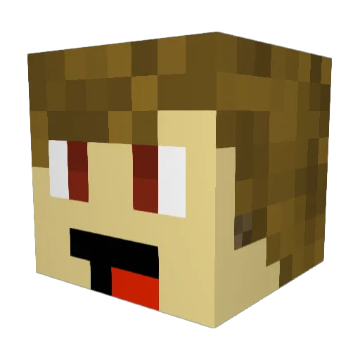 RileyS529 Minecraft avatar head, 3D render