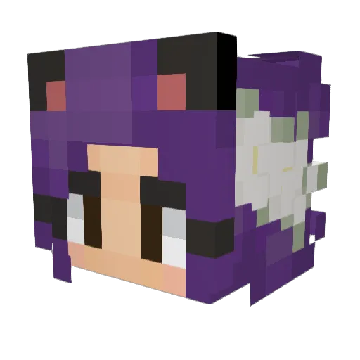 RileyTheEgg Minecraft avatar head, 3D render
