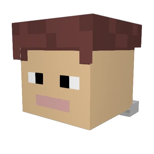 RileyTheMoffo Minecraft avatar head, 3D render