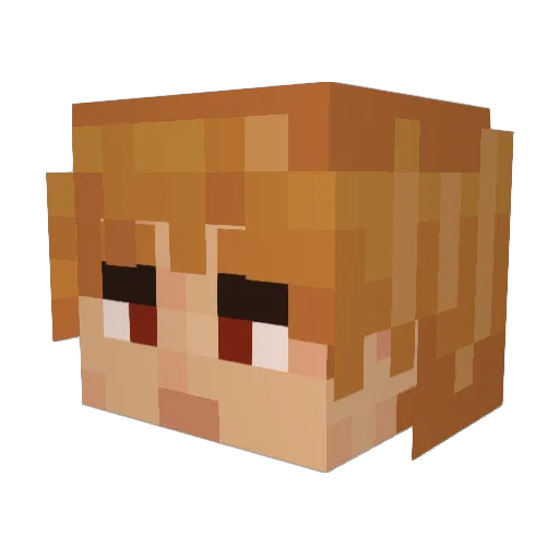 RileyWillslide Minecraft avatar head, 3D render