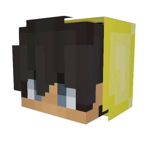 Riley_0308 Minecraft avatar head, 3D render