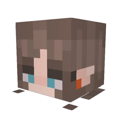 Minecraft-Avatar von Riley_2135: Kopf als 3D-Render