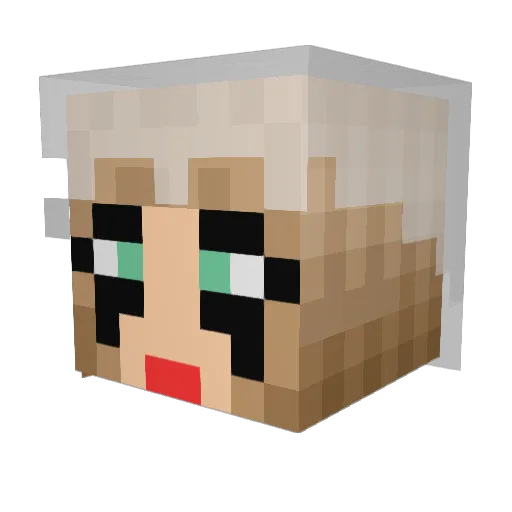 Riley_Smiley_ Minecraft avatar head, 3D render