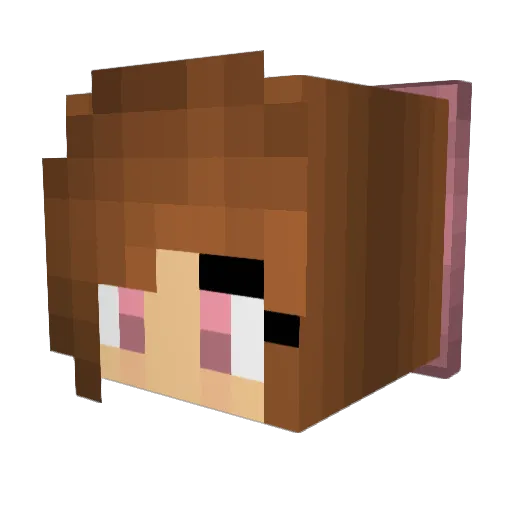 Riley__17 Minecraft avatar head, 3D render