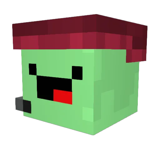 Riley_endres0 Minecraft avatar head, 3D render