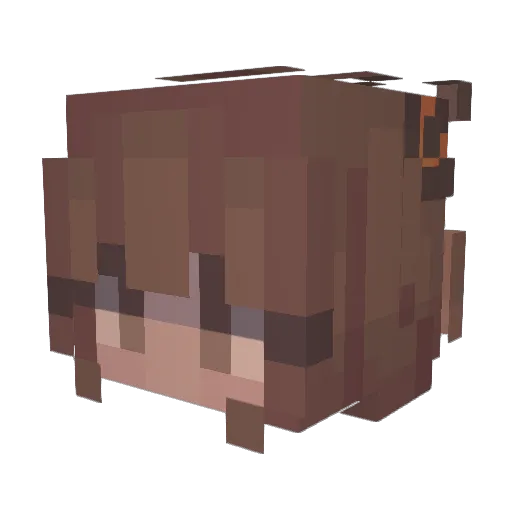 Rileybeart Minecraft avatar head, 3D render